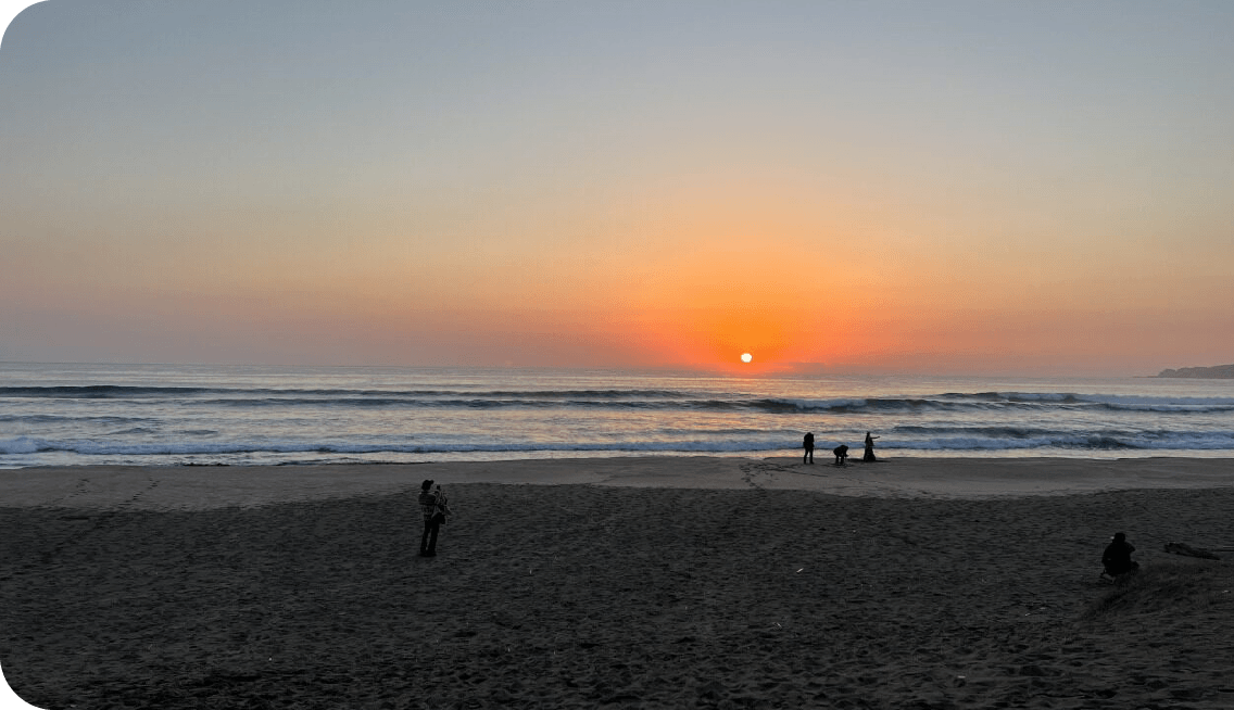 高知の文化活動応援プロジェクト
